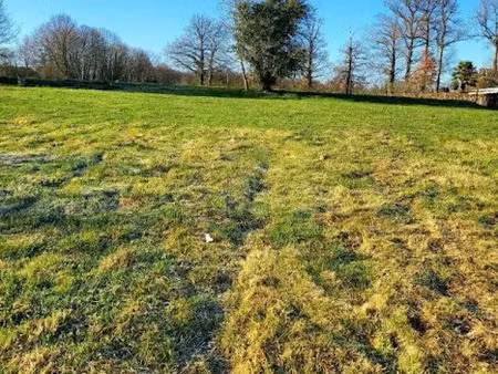 vente terrain à batir 2119 m² à aixe-sur-vienne (87700)  56 000 €