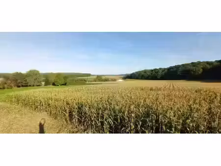 vente terrain 1200 m² à dives (60310)  38 000 €