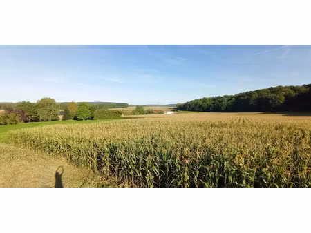 vente terrain à batir 1200 m² à dives (60310)  38 000 €