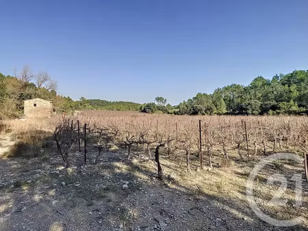 vente terrain 11476 m² à vacquières (34270)  65 000 €