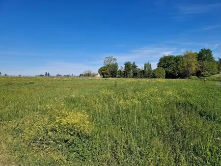 vente terrain 1388 m² à saint-pierre-de-mons (33210)  nan €