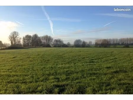 terrain 626 m² paillencourt
