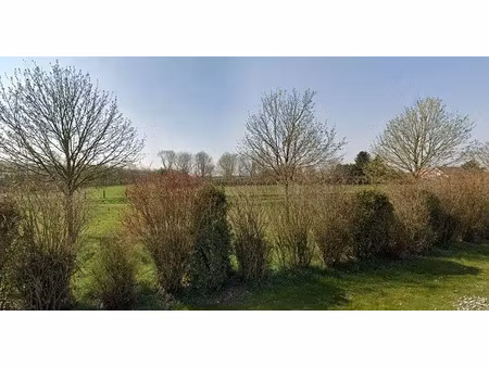 vente terrain 780 m² à bourghelles (59830)  199 000 €