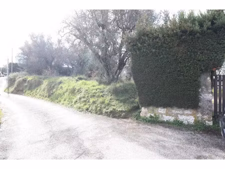 vente terrain à batir 1184 m² à contes (06390)  175 000 €