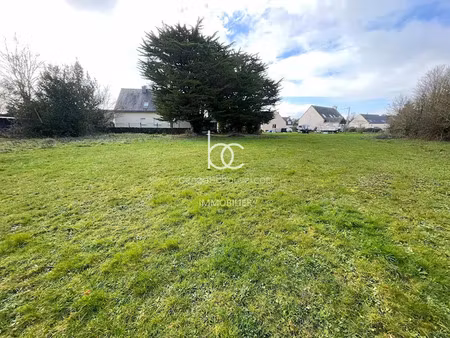 vente terrain 441 m² à saint-gildas-de-rhuys (56730)  149 800 €