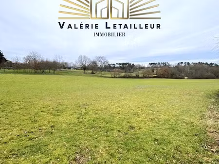 vente terrain 19979 m² à le pizou (24700)  130 000 €