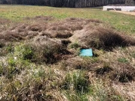 terrain calme à bâtir en bordure de forêt