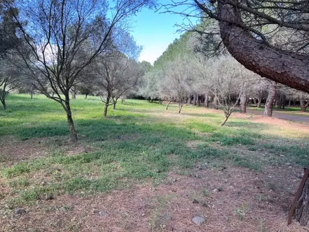 vente terrain 413 m² à lézignan-la-cèbe (34120)  108 500 €