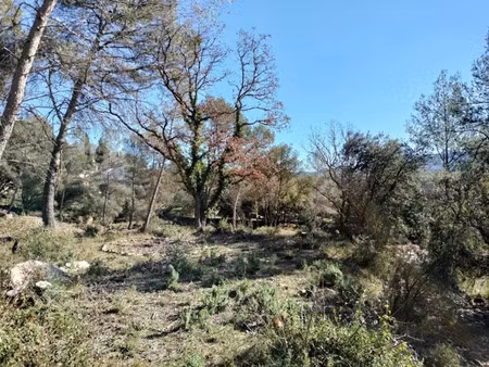 vente terrain 692 m² à besse-sur-issole (83890)  120 000 €