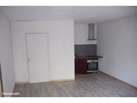 appartement t2  45m2  plein centre