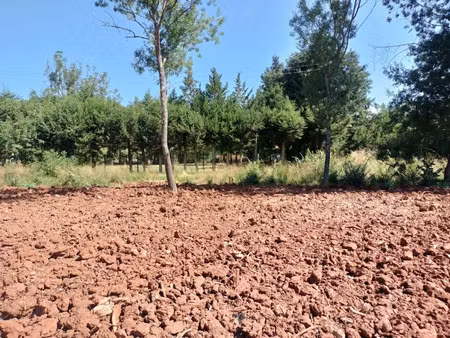 vente terrain 393 m² à le luc (83340)  149 000 €