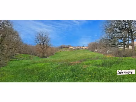 vente terrain à montfa (81210)  350 000 €