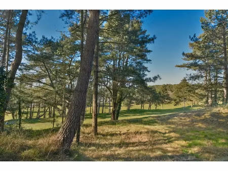 vente terrain 1640 m² à hardelot plage (62152)  780 000 €