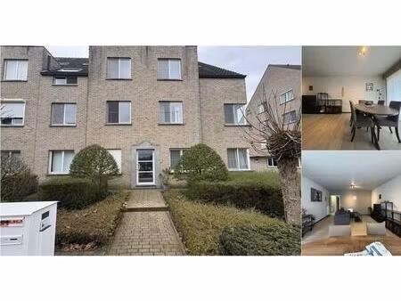 appartement à louer à gareelmakersstraat 35 herentals (rbv44698)