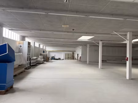 vente locaux professionnels 883 m² à mamers (72600)  147 000 €