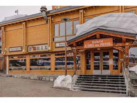 vente locaux professionnels 132 m² à la plagne (73210)  475 000 €