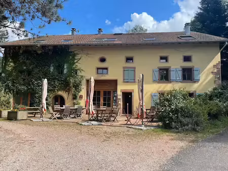 vente locaux professionnels 20 pièces 700 m² à taintrux (88100)  1 014 000 €