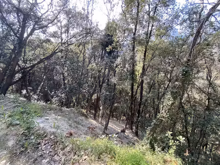 terrain