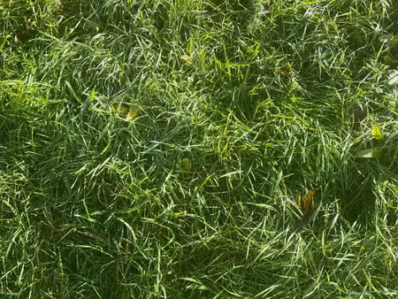 vente terrain à guingamp (22200) : à vendre / 6255m² guingamp