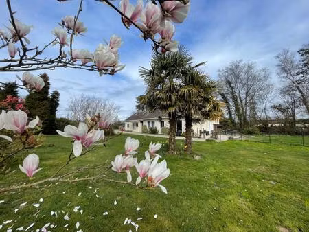 jolie maison de plain pied avec gîte et grand terrain