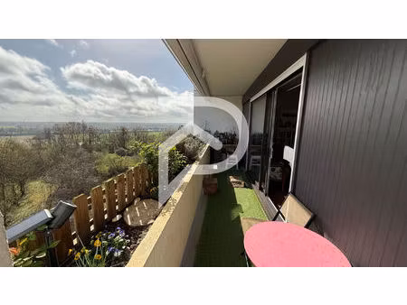 appartement la chaussée saint victor 4 pièce(s) vue sur loire