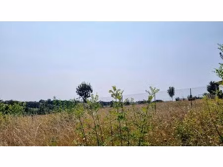 terrain constructible