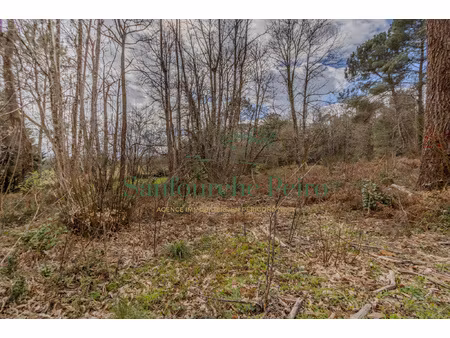à 5km du centre historique de sarlat - périgord noir