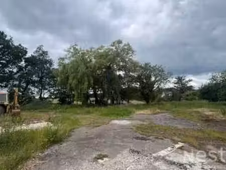 vente terrain à pluneret (56400) : à vendre / 1104m² pluneret