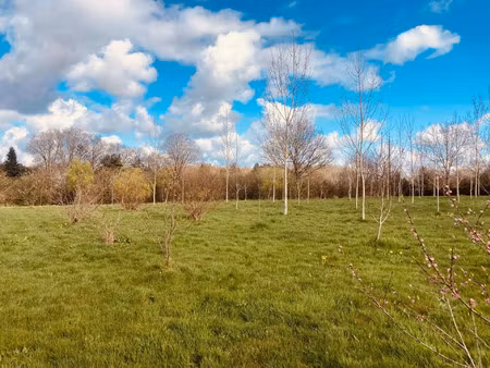 vente terrain 5720 m² grosbreuil (85440)