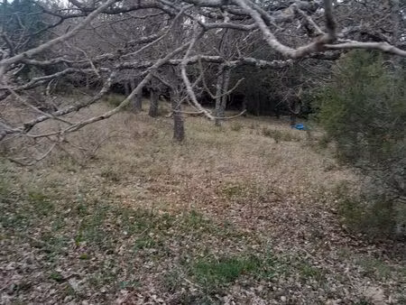 à vendre – terrain constructible à rutali – lotissement calme et arboré – 966 m²