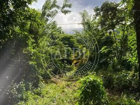 terrain constructible à vendre