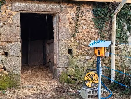 champs à louer pour équins