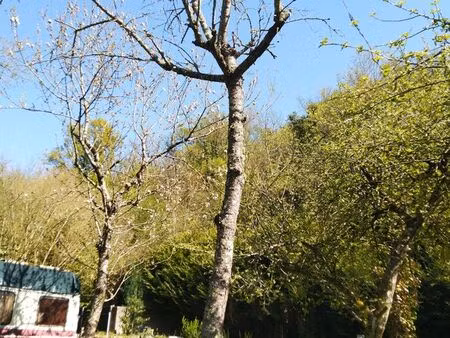 mr retraité recherche terrain de loisir