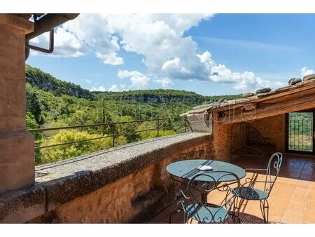 maison de village spacieuse avec jardin  piscine et vue.