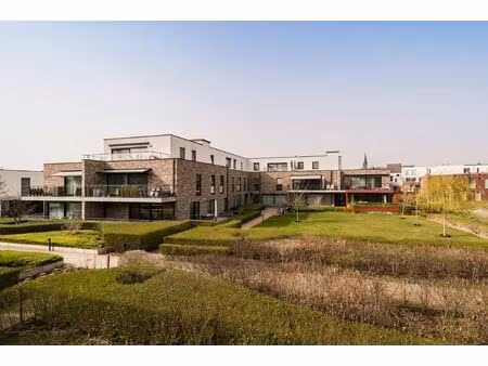 stijlvol gelijkvloers appartement met 3 slaapkamers en ruim terras in groene  autoluwe woo