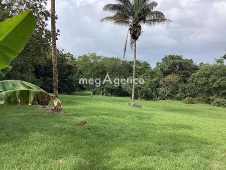 terrain à bâtir de 11100m2