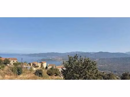 villa avec piscine et terrasse calcatoggio (2a)