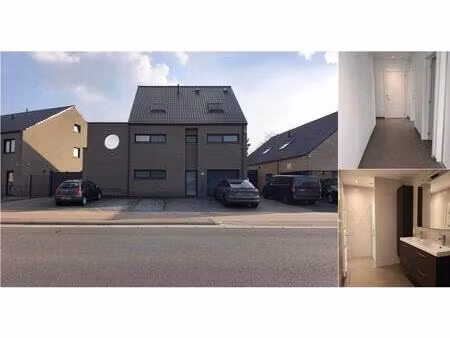 rez-de-chaussée à louer à balendijk 21 lommel (rbv44907)