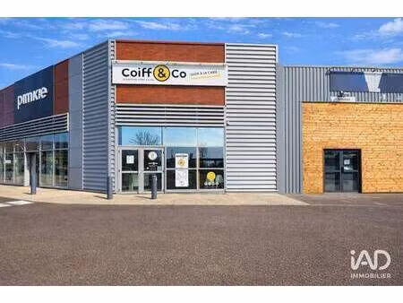 iad france angelique jacquey