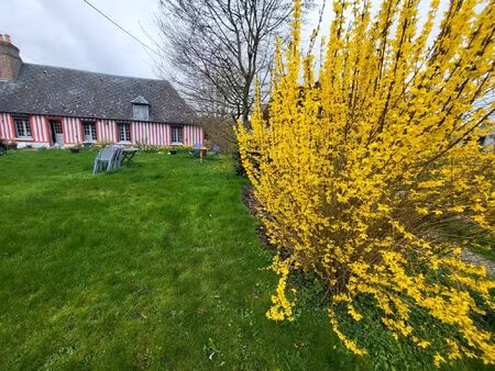 maison de charme périphérie d'yvetot