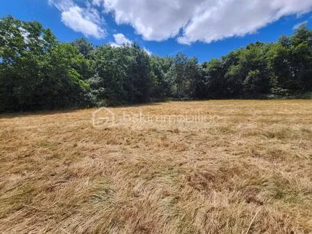 terrain de loisirs bord de rivière – 2860 m² – sanxay