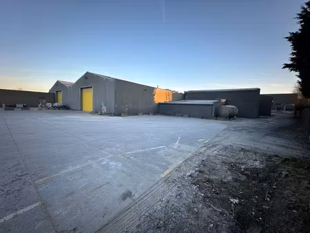 commercieel te huur in moorsele