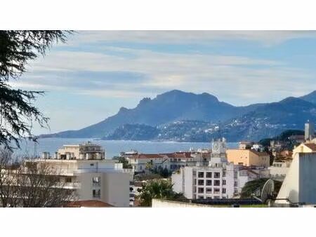 cannes bel appartement 60 m2 lumineux avec terrasses  vente directe propriétaire