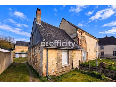 vente maison 7 pièces 135 m² à neuillé-pont-pierre (37360)  191 000 €