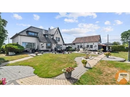 neeroeteren-woning met accommodatie voor (semi)professioneel