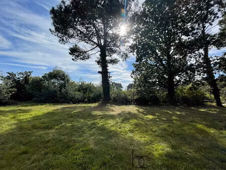 achat terrain 1 200m² st gildas de rhuys 56730