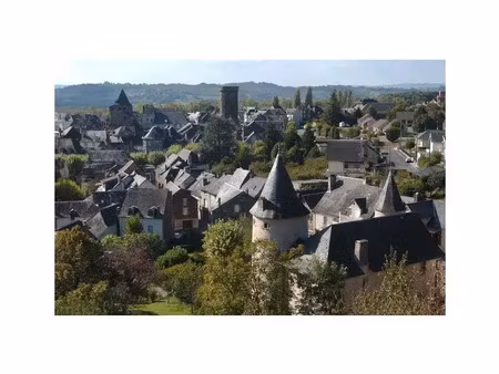 vente maison 5 pièces 105 m² allassac (19240)