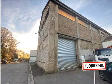 achat immeuble 548m² tucquegnieux 54640