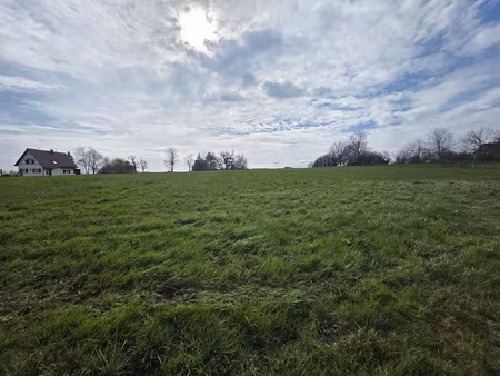 achat terrain 8 300m² helfrantzkirch 68510