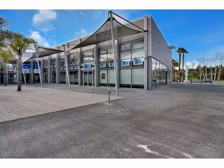 annonce commerce à vendre